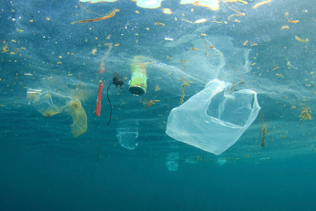 Understanding the Impact: Why Ayana Active Prioritizes Ethical and Eco-friendly Production