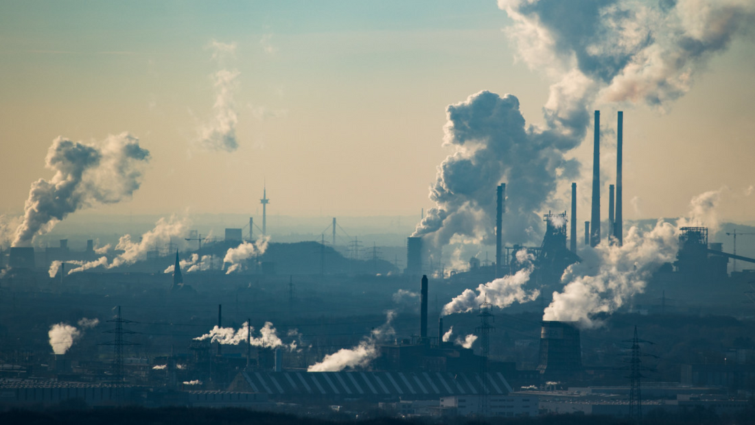 Worldwide Net Zero Carbon Emission Commitments