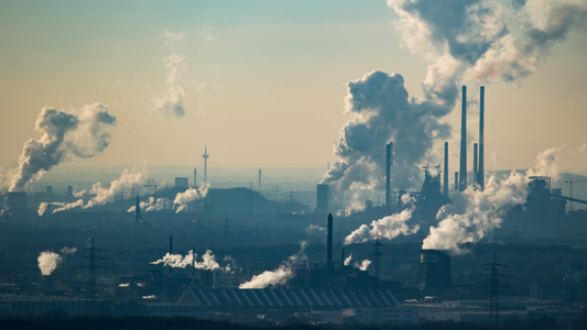 Worldwide Net Zero Carbon Emission Commitments