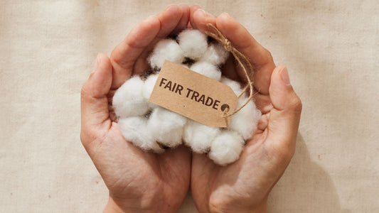 The Human Toll of Fast Fashion in Garment Factories
