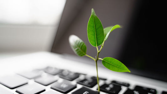What is Sustainability?